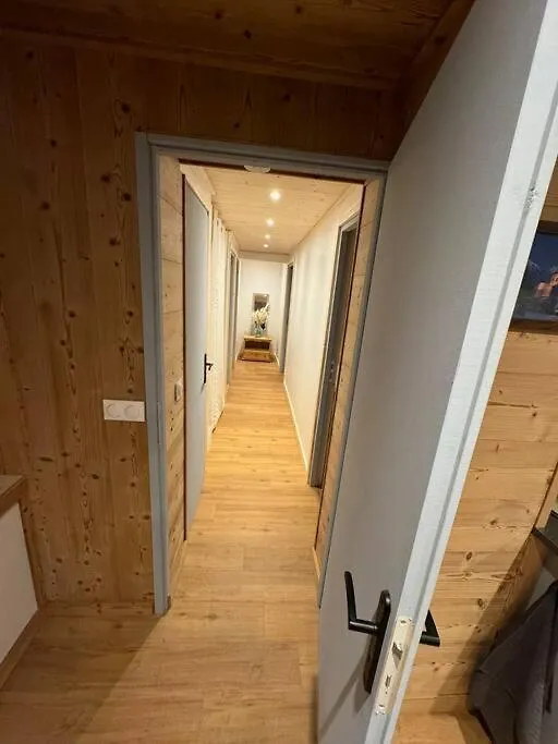 Magnifique Appartement Renove Seytroux